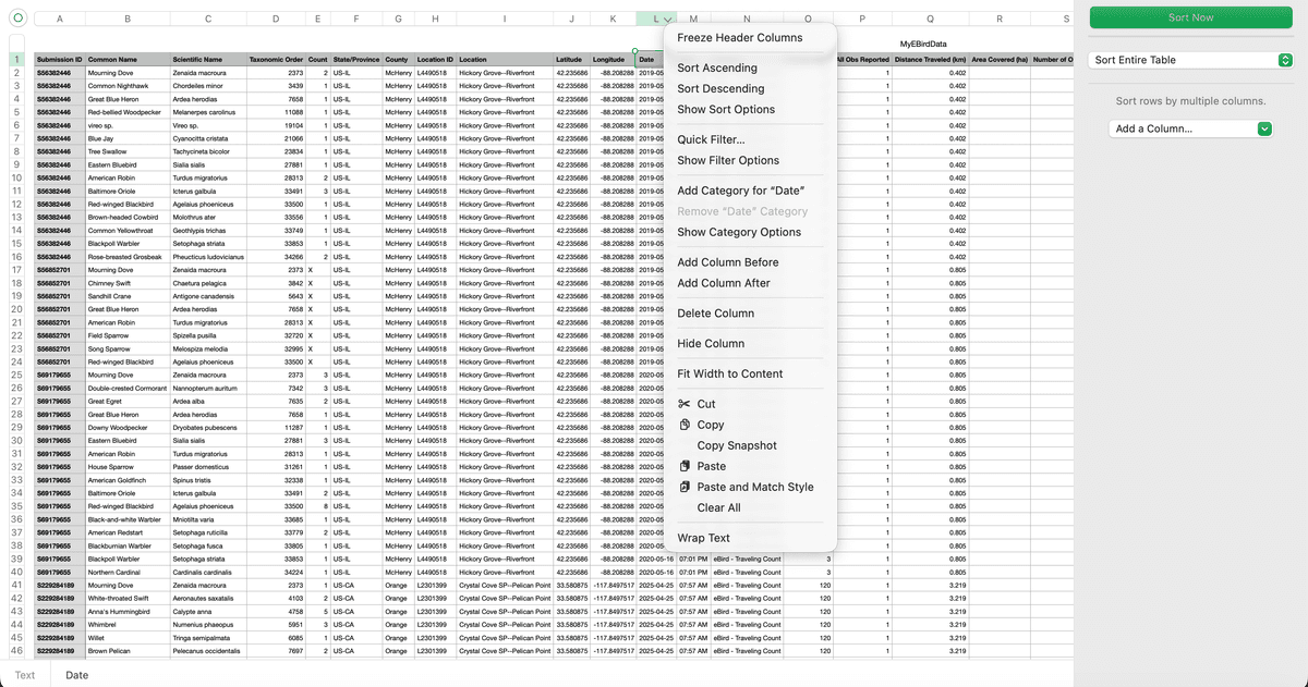 Step 2: Prepare Your CSV
