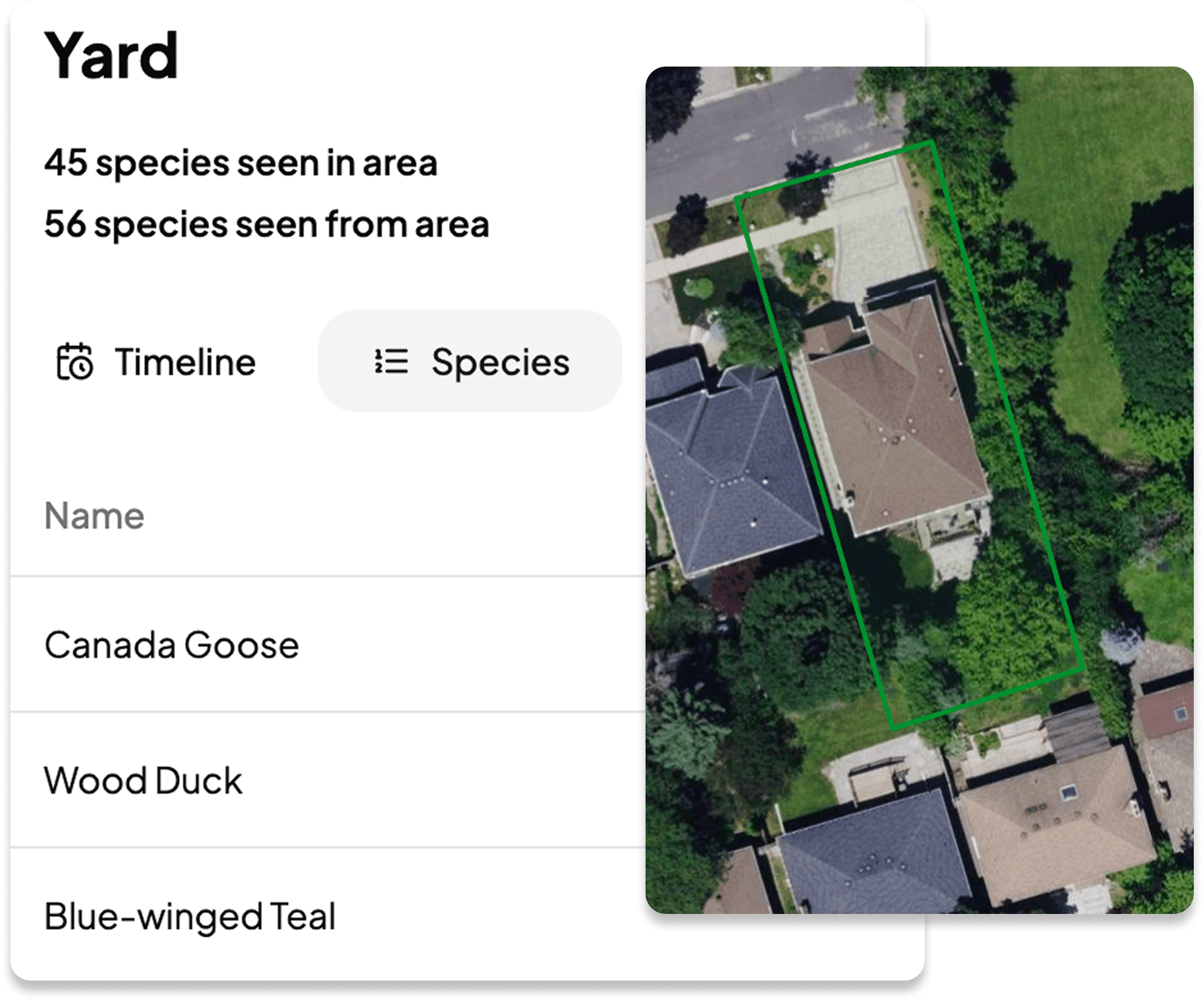 Orange County neighborhood where the morning walk began.